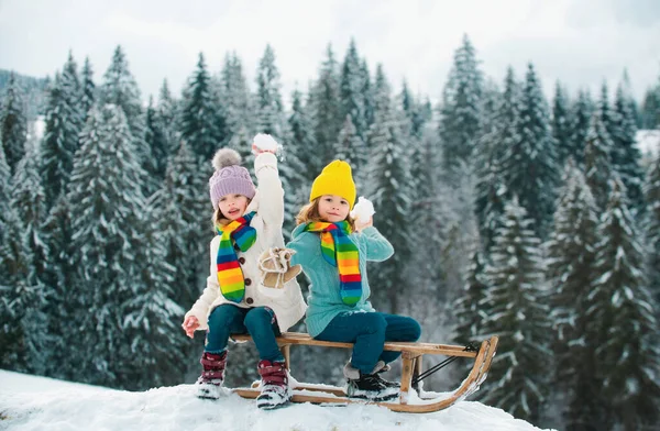 子供たちは雪玉 子供たちのための雪玉の戦いをプレイ 冬のニット子供服 寒い天気 ニット帽 スカーフ セーターを着た幸せな小さな子供たち — ストック写真