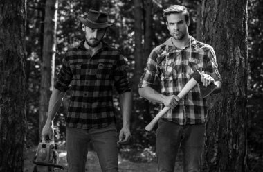 Ormanda çalışan iki oduncu arkadaş. Baltalı oduncu ve elektrikli testereli oduncu. Ormandaki yakışıklı oduncu hippiler