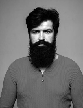 Serious bearded man portrait. Looks seriously, Isolated on gray