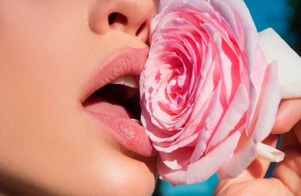 Lips with lipstick closeup. Pink beauty. Mouth icon. Rose lip, young pink rose, lip balm, tender fashionable lipstick. Beautiful woman lips with rose