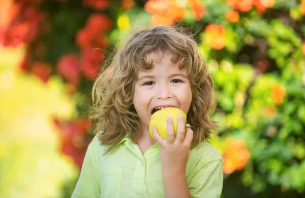 Healthy Eating Happy Little Child Holding Apples Summer Green Park — Stock Photo, Image
