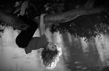 Çocuk yaz parkında yüksek ağaca tırmanıyor. Ağaçta oturan, ağaca tırmanan sevimli çocuk portresi. Bahçede oynayan aktif bir çocuk. Çocuk yaşam tarzı konsepti. Kırsal kesimdeki çocuklar