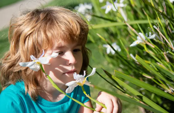 Spring flowers. Flower allergy. Little boy smelling flowers outdoor. Kid sniffing narcissus