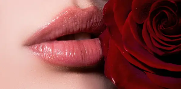 Lábios Perto Com Rosa Vermelha Cosméticos Compõem Publicidade Bela Fêmea — Fotografia de Stock