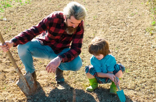 Padre Figlio Piantare Giardino Piante Primaverili Giardinaggio Familiare — Foto Stock
