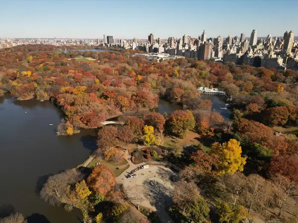 Central Park Nowym Jorku Widok Góry Drzewa Jesiennego Jesienny Widok — Zdjęcie stockowe