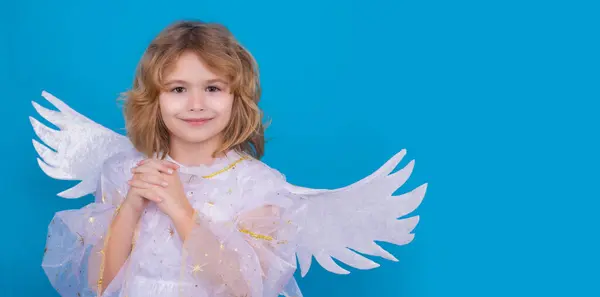 Child Angel Portrait Cute Kid Angel Wings Isolated Studio Background Royalty Free Stock Images