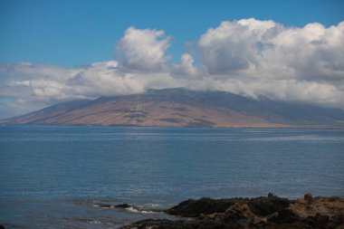 Hawaii 'deki doğa manzarası, berrak denizde palmiye ağacı olan tropikal plaj.