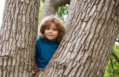 Parkta ağaca tırmanan komik bir çocuğun portresi.