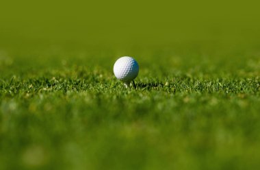 Golf topunu çimenlere yumuşak bir şekilde yaklaştır. Arka planda fotokopi alanı olan spor topu