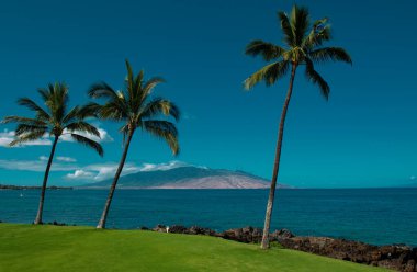 Plaj ve tropikal deniz. Renkli okyanus plajı. Berrak turkuaz su manzarası, Maldivler ya da Hawaii. Hindistan cevizi palmiyeleri