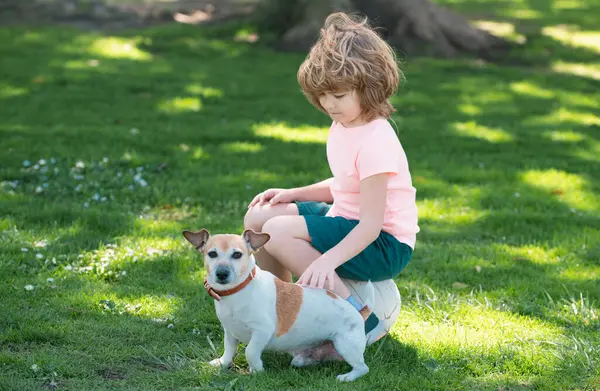 Portrait of a child boy plays with a dog outdoor. Kid caress dog