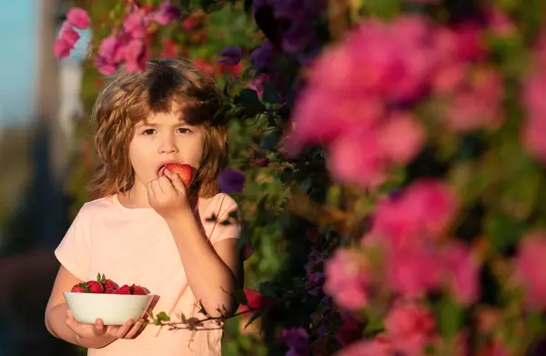 イチゴを持っている子供の肖像画を閉じます 幸せな子供は夏の屋外でイチゴを食べる — ストック写真