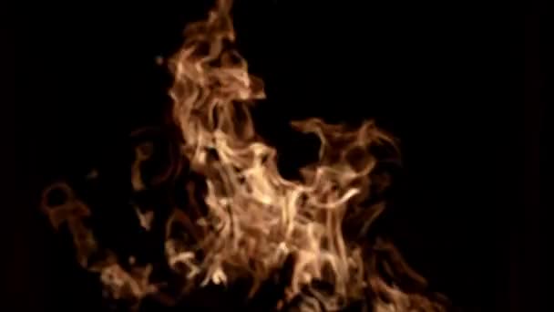 火は暖炉で燃えている 燃える炎 ブラックの炎を燃やします バーニングオーバーレイデザイン ブレイズは背景のオーバーレイを燃やします 燃えている火 ストーブ ファイアボックス 暖炉のための石炭木を熱する ファイヤースパーク — ストック動画