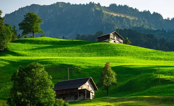 村里的房子欧洲阿尔卑斯山的老房子 森林里的老卡宾欧洲阿尔卑斯山的破旧房屋 阿尔卑斯山谷地一个小镇上的老村舍 农村景观 — 图库照片