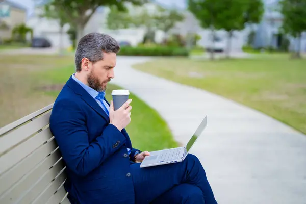 Man in suit rest in park. Business man sitting on bench. Ceo manager work on laptop outside. Handsome freelancer man online work from laptop sit on park bench. Business man in suit used laptop