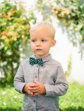 Çocuk modası. Papyonlu küçük beyefendi. Mutlu çocukluk, gençlik