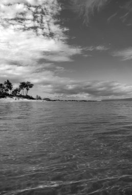 Plaj ve tropikal deniz. Renkli okyanus plajı. Berrak turkuaz su manzarası, Maldivler veya Hawaii