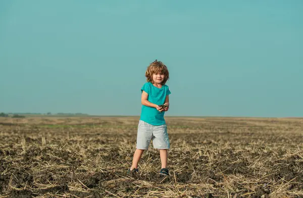 Koncept Ekologie Zemědělství Koncept Výsadby Výsevu Půdy Farma Pro Děti — Stock fotografie