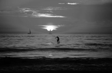 Kürek kaykayı. İnsanlar gün batımında denizde kürek çekiyorlar.