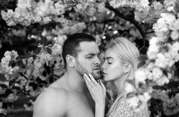 樱桃花花中的性感夫妻 萨库拉附近一对年轻夫妇的户外肖像 爱性感的夫妻拥抱 性感之吻 — 图库照片
