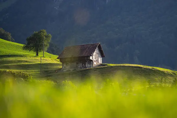 阿尔卑斯山的旧木屋 欧洲阿尔卑斯山的老房子 森林里的老卡宾欧洲阿尔卑斯山的破旧房屋 阿尔卑斯山的传统风格的房子 旅行概念 — 图库照片