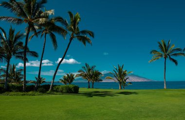 Sahil manzarası, yaz tatili geçmişi.