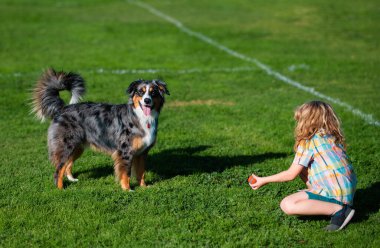 Little blond boy with her pet dog outdooors in park. Cute dog. A child with a dog playing in nature on green grass
