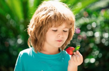Taze çileği olan mutlu bir çocuk.