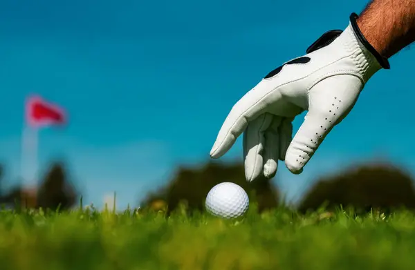 Golfer Man Golf Glove Hand Putting Golf Ball Tee Golf — Stock Photo, Image