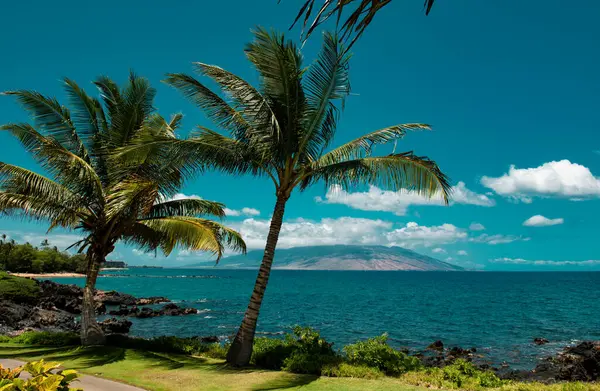 夏威夷海滩 夏威夷海 洛哈梅岛 热带海滩全景 — 图库照片