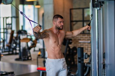 Muscular man workout in the gym. Athletic man having weight training in gym. Handsome man with strong muscles workout in the gym. Portrait of sexy muscular male with dumbbells. Bodybuilder exercise