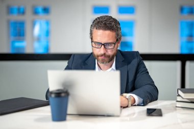 40 'ların yakışıklı iş adamı ofiste dizüstü bilgisayarla çalışıyor. Gri saçlı, olgun iş adamı yönetmeni dizüstü bilgisayar kullanıyor. Ofis işyerinde milenyum müdürü. CEO ofis çalışanları. Ofisteki iş adamları.