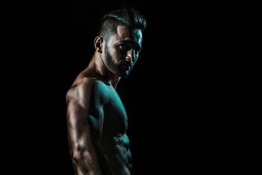 Seksi erkek model vücut, çıplak gövde. Seksi çıplak adam, baştan çıkarıcı eşcinsel. Kaslı üstsüz adam, çekici adam.