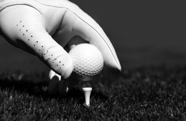 Golf sahasında golf topuna el sürmek. Çimlerde golf topu