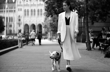 Şehir caddesinde köpekle yürüyen güzel genç bir kadın. Güzel genç moda kadını