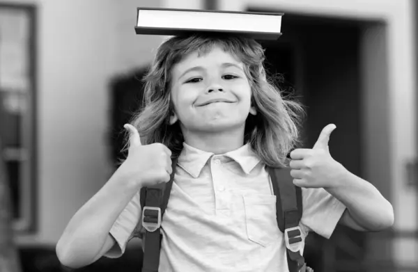 Portrait Cute School Boy Glasses Shirt Holds Book Schoolkid Nerd — Stock Photo, Image