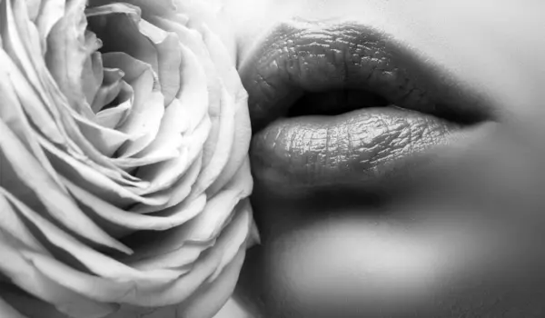 Szminka Bliska Zbliżenie Sexy Kobieta Naturalne Usta Różowa Róża Piękne — Zdjęcie stockowe
