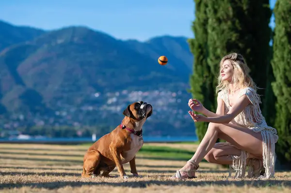Training dogs. Woman play with Boxer dog. Young girl throwing ball to boxer dog. Lovely pet. Owner under the protection of a dog