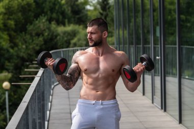 Muscular men lifting weights. Powerful male fit model doing workout in gym. Man lifting dumbells, strong athletic fit man doing exercises with dumbbells. Weightlifting workout. Fitness workout
