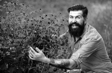 Bahar mevsimi havası. Sarı çiçekli sakallı adam. Kaygısız ve olumlu bir düşünce. Rudbeckia çiçeği