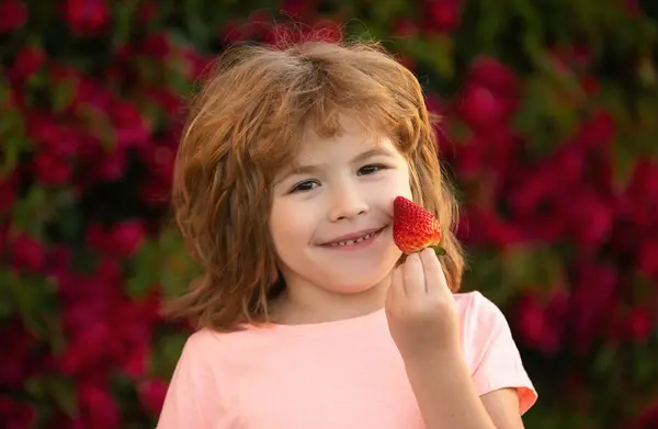 健康孩子的食物小孩滑稽的肖像 可爱的小男孩在吃草莓 — 图库照片