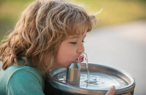 Child Drinking Water Outdoor Water Fountain Outdoor 图库照片
