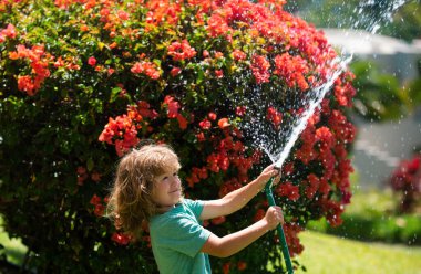 Yaz günü bahçede çiçekleri sulayan sevimli küçük bir çocuk. Çiçek ekme tesisinde bahçe hortumuyla çocuk çiftçisi. Hortum. Bahçede çiçek sulayan komik çocuk.