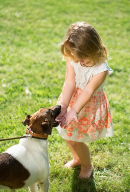 Yazın yeşil çimlerin üzerinde Russell Terrier köpeği olan tatlı bir kız. Doğadaki küçük komik çocuk. Mutlu Çocukluk