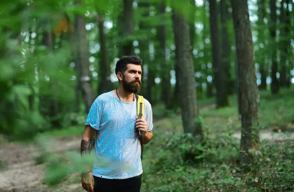 人は森の中の田舎でハイキングをする リュックを持った男が森の中を歩く 旅行ライフスタイルのコンセプト 冒険活動的な休暇屋外 — ストック写真