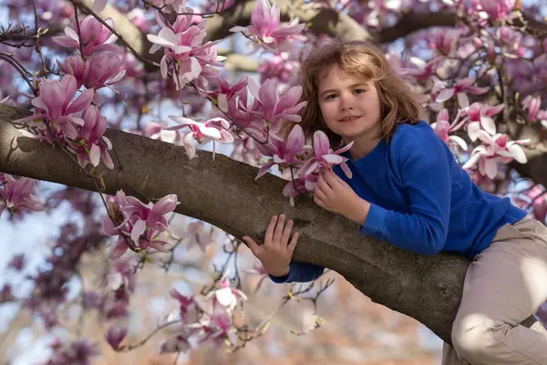 Happy Spring Kid Climbing Magnolia Tree Close Portrait Smiling Child — Stock Photo, Image