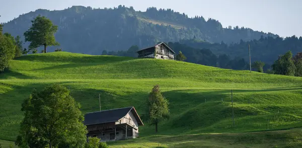 老房子 老房子 历史建筑 绿地上的传统阿尔卑斯山建筑 老房子 欧洲阿尔卑斯山中的木制复古屋 山中的旧小屋 — 图库照片