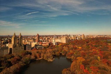 New York Şehri Central Park. Autumn Tree 'nin üst manzarası. İnsansız hava aracından Autumn Central Park manzarası. New York Havacılık, Sonbaharda panorama. Central Park 'ta sonbahar. Central Park Yaprakların Sonbahar Renkleri