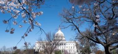Washington DC 'de bahar, ABD Kongre Binası. Yargıtay, Washington anıtı. ABD Kongresi. Capitol, ABD 'nin sembolüdür. Washington 'da bahar.